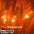 C7 String Lights,25FT Orange Halloween Christmas String Lights for Outdoor Indoor Use,25 Clear C7 Orange Bulbs String Lights-Black Wire...