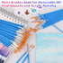 Paint Brushes Set for Acrylic Painting, 100 Pcs Art Paint Brushes Round Acrylic Paint Brushes, Nylon Paint Brushes for Kids Adults Oil Watercolor ...