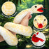 53 Inch Giant Snake Plush Mommy with 3 Babies - Mommy Snake with 3 Cute Babies & 3 Eggs Golden Python Realistic Snake Stuffed Animal Easter Gift f...