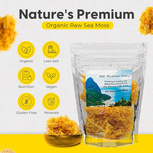 Certified Wild Harvested Gold Irish raw Sea Moss from St.Lucia,Makes 165 oz gel, Dr.Sebi Grade,Wild Harvested Powerful Antioxidants,Vitamins,Miner...