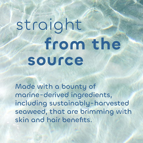 Seaweed Bath Co. Balance Conditioner, Eucalyptus Peppermint Scent, 12 Ounce, Sustainably Harvested Seaweed, Pro Vitamin B5, For Normal to Oily Hai...