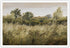 XUHZNXPW Retro Field Landscape Posters Muted Green Meadow Forest Tree Wall Art Wilderness Nature Botanical Prints Paintings French Country Wildflo...