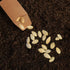 100 Pack Small Coin Envelopes Heavy Duty Self-Adhesive Kraft Seed Envelope Mini Parts Small Items Stamps Storage Packets Envelopes for Garden, Off...
