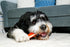 Hartz Chew 'n Clean Tuff Bone Tough Dog Chew Toy, Large 3 Pack...