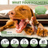 DBF 4 Pack Indestructible Dog Chew Toys for Aggressive Chewers Medium Small Breed - Durable Tough Dog Toy with Bacon Flavor, Heavy Duty Hard Nylon...