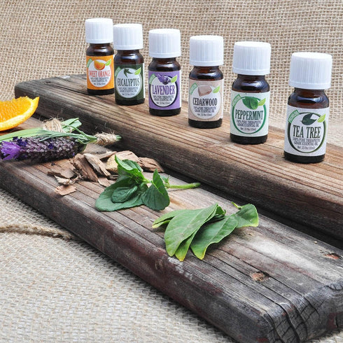 Healing Solutions 10ml Oils - Eucalyptus Essential Oil - 0.33 Fluid Ounces...
