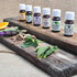 Healing Solutions 10ml Oils - Eucalyptus Essential Oil - 0.33 Fluid Ounces...