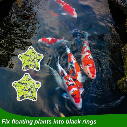 5pcs Aquarium Floating Plant Rings, Star-Shaped Fish Feeding Rings Foam Fish Tank Plant Corral Duckweed Isolation Circle Keep Plants in Place (Whi...