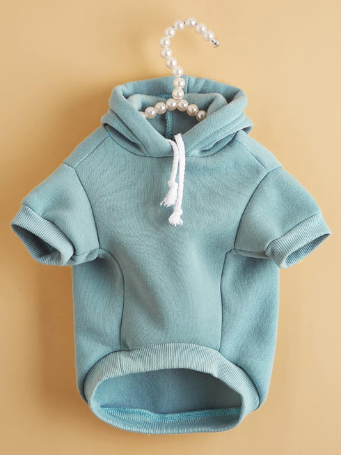 QWINEE Basic Dog Hoodie, Dog Warm Jacket, Cat Apparel, Dog Shirt, Dog Clothes for Puppy Kitten Small Medium Dogs Cats Cadet Blue S...