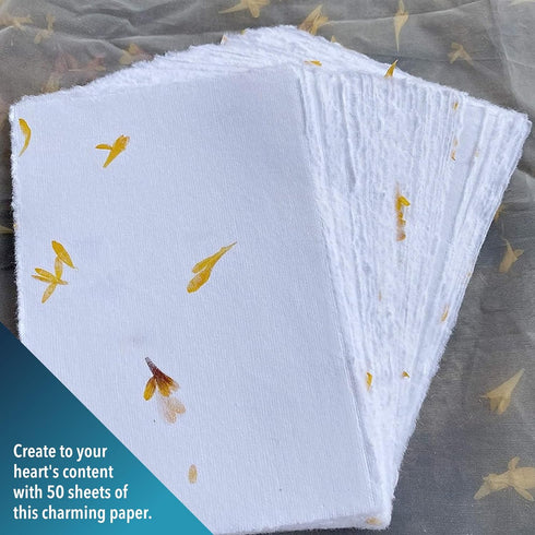 Wanderings Handmade White Deckle Edge Paper Cards with Real Flower Petals - 4"x6" Package of 50 - Paper for Cards for Announcements, Invitations, ...