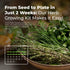 Grow Buddha herb Seeds Variety Pack, Your Own Gardening Kit – Easily Grow Your own herb Garden with Our Complete Beginner Friendly herb Seeds Star...