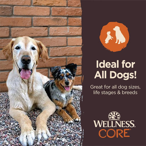 Wellness CORE Power Packed Dog Treats (Previously Pure Rewards), Grain-Free Tender Jerky Treats, Made in USA (Chicken & Lamb Recipe, 4-Ounce Bag)...