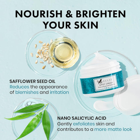 Eclat Skincare Spot Treatment for Face - Salicylic Acid Pimple Spot Treatment for Face - Spot Cream Pimple Cream Facial Blemish Spot Treatment - C...