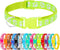 Puppy Collars-16 Pack Puppy Collars for Litter, Adjustable Puppy ID Collars Soft Nylon Whelping Collars for Newborn Litter Puppy Pets...