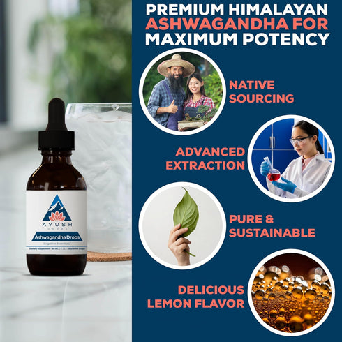 Ayush Herbs Ashwagandha Drops - Ashwagandha Alcohol-Free Drops for Adults, Calming Daily Supplement for Focus & Attention with Organic Ashwagandha...