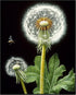 Posterizer 1 pcs-delicate dandelions in nature 2-Floral & Botanical Art-Landscape & Nature Art-Decor for Home & Office- unframed wall art...