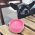 Dog Bowls Cat Bowls (Plastic Bowls, Pink 4-Pack)...