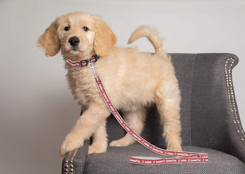 Pets First Collegiate Pet Accessories, Dog Leash, Alabama Crimson Tide, Medium...
