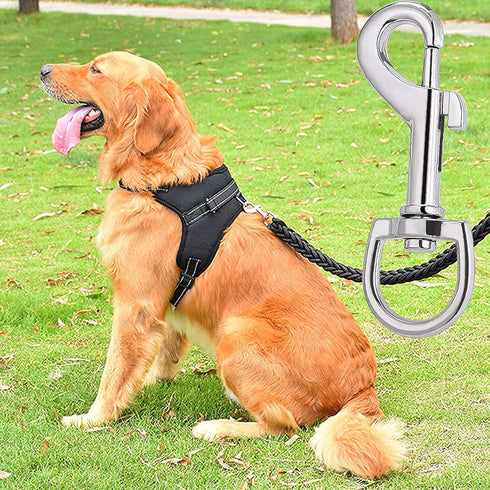 Swivel Snap Hooks, Hanlongyu 12 Pcs Metal Heavy Duty Dog Leash Clasp Stainless Steel, Multipurpose Keychain Clip Spring Pet Buckle for Linking Dog...