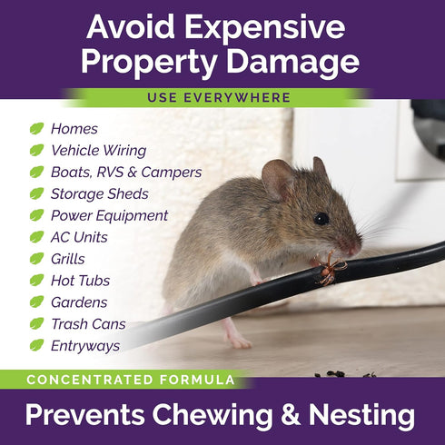 Peppermint Oil Spray for Rodents Plus Cinnamon Oil - MAX Power Mouse Repellent for Home RV Campers Boats Car Engines – Repel Mice and Rats from Ho...