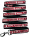 Pets First Collegiate Pet Accessories, Dog Leash, Indiana Hoosiers, Large...