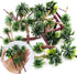 30Pcs Palm Model Trees 1.97-3.54 inch (5-9cm) Green Palm Train Model Trees Diorama Scenery for Miniature Landscape Model Train Railways Building D...