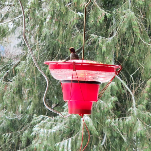 Hummingbird Feeder Heater for Outdoors, Bird Feeder Heater Backyard Hearth Hummingbird Feeder Heater Attaches to The Bottom of an Existing Feeder...