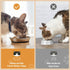 Cat Bowls, 2 Pcs Stainless Steel Cat Bowls for Food and Water, Whisker Fatigue Shallow Non-Slip Cat Dishes Plates for Small Dog Puppies Cats...