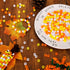 Whaline 1000Pcs Fall Pony Beads with 100Pcs Chenille Stems Pipe Cleaners 3 Colors Autumn Craft Beads Plastic Beads for DIY Craft Necklace Bracelet...