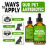 Antibiotic for Cats | Natural Antibiotics for Dogs | Cat Antibiotics | Dog Antibiotic | Antibiotic for Dogs | Natural Antibiotics for Cats | Natur...