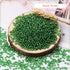 10000pcs Glass Seed Beads Bulk,2mm 12/0 Craft Seed Beads Small Pony Beads for DIY Craft Projects Bracelets Necklace Jewelry Making - Dark Green Wa...