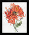 Design Works Crafts Peach Floral, 8 x 10 Counted Cross Stitch Kit, Multi-colour...