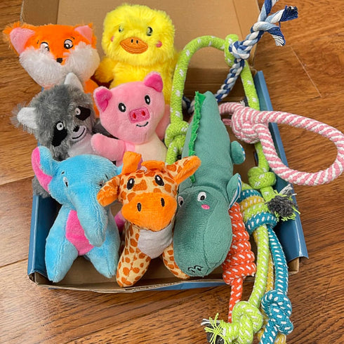 Jalousie Multipack Dog Squeaky Toys Dog Toy Bulk Dog Toy - Dog Toys for Pets Dogs for Small Medium Large Dogs (12 Pack Rope and Plush Animals)...