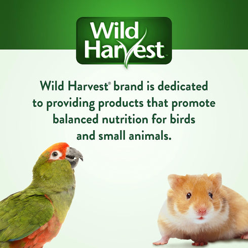 Wild Harvest Fruit Kabobs, 6 Count, for Pet Rabbits, Guinea Pigs, Hamsters, Gerbils, Mice and Rats...