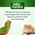 Wild Harvest Fruit Kabobs, 6 Count, for Pet Rabbits, Guinea Pigs, Hamsters, Gerbils, Mice and Rats...