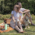 French Press Coffee Maker?12OZ Double Wall Vacuum Insulated 304 Stainless Steel for Home, Camping and Office...