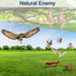 Fake Owls to Keep Birds Away, Bird Scare Device, Bird Scarer, Cardboard Hanging Reflectors, Flat Paper Garden Owls Scare Pigeons Woodpeckers Roden...
