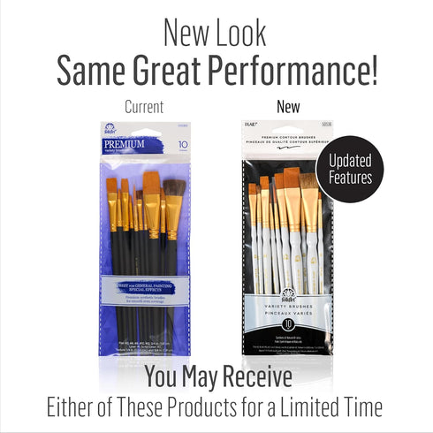 Plaid Learn to Paint Premium Brush Set, 50536 (10-Piece), 1-(Pack)...