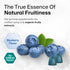 Brain Booster Gummies - Natural Nootropic Focus Supplement - Organic Ashwagandha, Ginkgo Biloba, Bacopa, DMAE, and Vitamins for Memory and Cogniti...