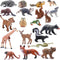 20Pcs Small Plastic Animals Figures - Rain Forest Animals Figures, Animals Toys, Nocturnal Animals Educational Toys for Science Project Cake Party...