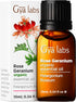Gya Labs Organic Rose Geranium Essential Oil for Skin - Organic Geranium Essential Oil for Diffuser - Rose Geranium Essential Oil Organic for Arom...