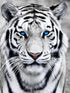 Ginfonr 5D DIY Mosaic Diamond Painting Kits White Tiger Full Drill, Paint with Diamonds Art Animals Cross Stitch Embroidery Rhinestone Craft for H...