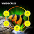 Purify Series for Algae Wafers Pleco Food, Spirulina Fish Food for Snails, Plecos, Algae Eaters and Bottom Feeders, Color Enhancing, All Natural I...