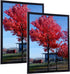 12x16 Picture Frame for Wall Black, Display pictures 12x16 Poster Frame, Wall Sign Poster Menu Photo Frames, 1 Pack...