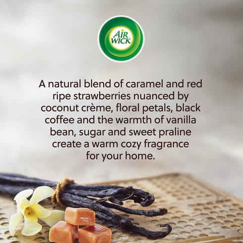 Air Wick Scented Oil - Vibrant Refill Vanilla & Warm Caramel, 5 Refills...