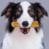 PIMA - Canine Cheese Chews, Natural Yak Chews for Dogs 35 lbs or Smaller, Lactose-Free Yak Cheese Dog Chews, Long Lasting Dog Chews with Protein a...