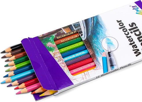 Pentel Arts Watercolor Pencil Set, 12 Color Set (CB9-12)...