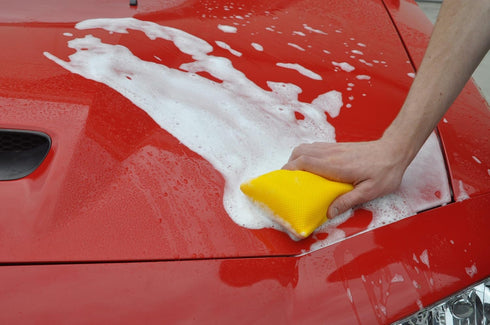 Detailer's Preference Microfiber Bug Scrubber Sponge...