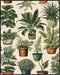 Posterizer 1 pcs-plants pots cactus cute art for plant lovers 10-Floral & Botanical Art-GIft for Men Women Teens-Decor for Home & Office- unframed...