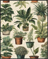 Posterizer 1 pcs-plants pots cactus cute art for plant lovers 10-Floral & Botanical Art-GIft for Men Women Teens-Decor for Home & Office- unframed...